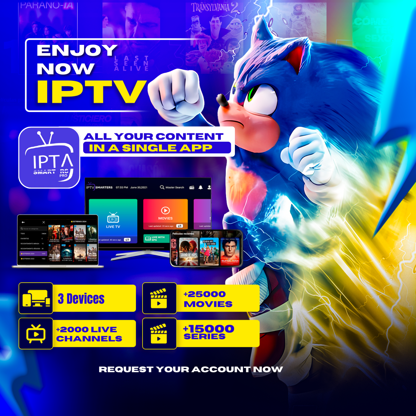 IPTV   ◾ 12 months